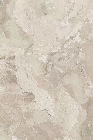 ALBANIA HAZEL - Image 2