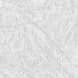 SILVER FOX - Image 2