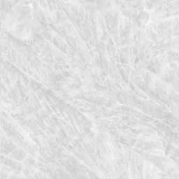 SILVER FOX - Image 3