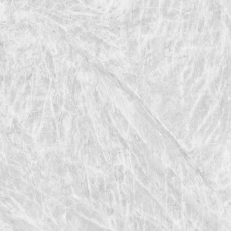 SILVER FOX - Image 4