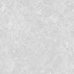 TERA MARINE BIRCH - Image 4