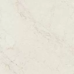 INFINITY BIRCH - Image 3