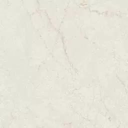 INFINITY BIRCH - Image 4