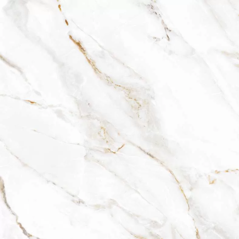 SHOW WHITE - Image 2