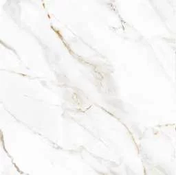 SHOW WHITE - Image 3